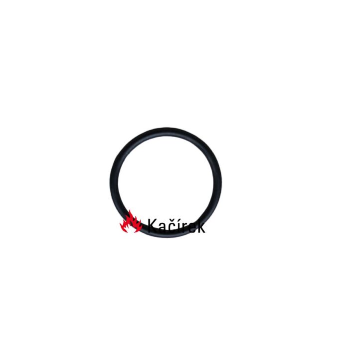 P0109 O-ring for thermostat